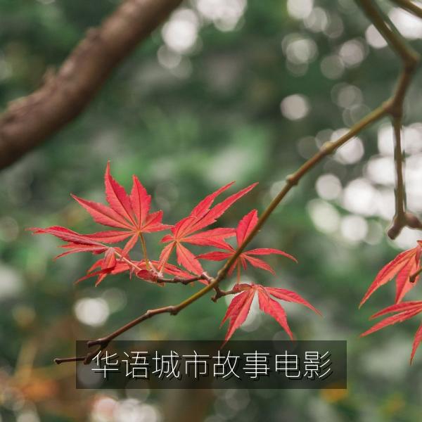 华语城市故事电影