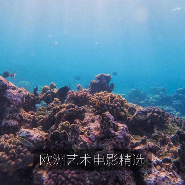 欧洲艺术电影精选